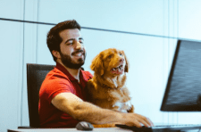 Screen Shot 2020-04-07 at 19.33.23