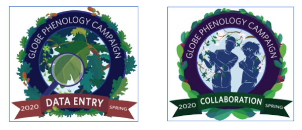 Screen Shot 2020-06-24 at 09.39.33